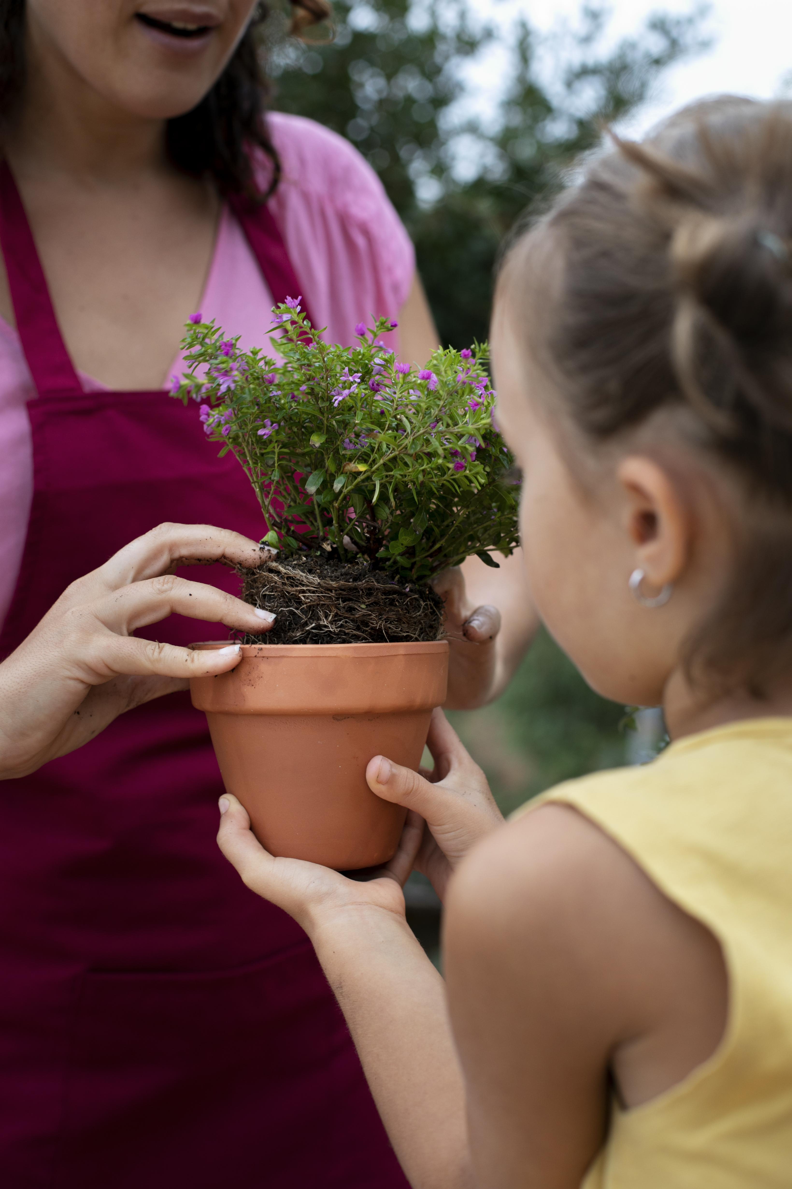 Actividad comunitaria vinculada con naturaleza y arte